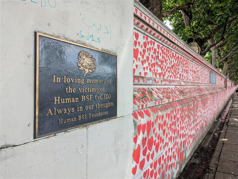 From mad cows to herd immunity: the moral and political pitfalls of scientific uncertainty in epidemiological crises